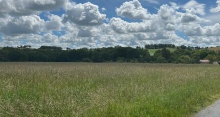 Busque Terrain à bâtir - 2477265-2684annonce320260407NWD4A.jpeg Maisons Open