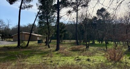 Casteljaloux Terrain à bâtir - 2451827-10776annonce1202603100w5Dg.jpeg Maisons Open