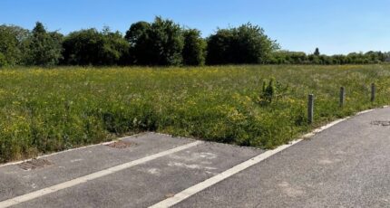 Bertry Terrain à bâtir - 2479133-10261annonce120260408cuT4S.jpeg Maisons Open