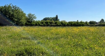 Bertry Terrain à bâtir - 2479133-10261annonce320260408ryUDu.jpeg Maisons Open