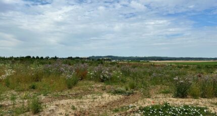 Bailleul-Sir-Berthoult Terrain à bâtir - 2479381-6159annonce220260408CS9f9.jpeg Maisons Open