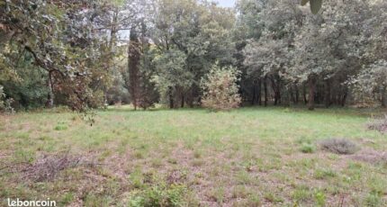 Raissac-sur-Lampy Terrain à bâtir - 2480785-10986annonce120260409EPybI.jpeg Maisons Open