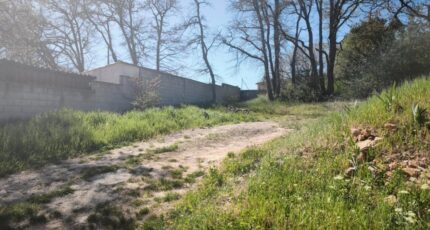 Saint-Maximin-la-Sainte-Baume Terrain à bâtir - 2479687-11039annonce120260409isRTg.jpeg Maisons Open
