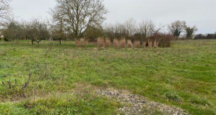 Champagne Terrain à bâtir - 2481038-11194annonce120260410UlElV.jpeg Maisons Open