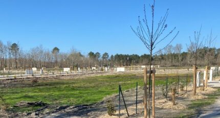 Le Taillan-Médoc Terrain à bâtir - 2480991-10895annonce1202604103vQxJ.jpeg Maisons Open