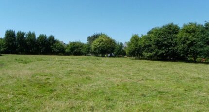 Couffoulens Terrain à bâtir - 2481208-11456annonce120260410qZkkw.jpeg Maisons Open