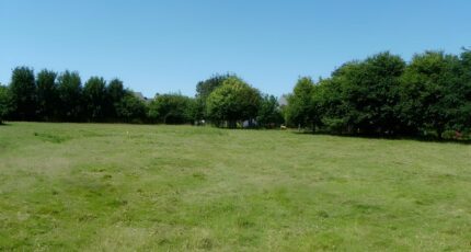 Cournanel Terrain à bâtir - 2481238-11456annonce120260410M3zo4.jpeg Maisons Open