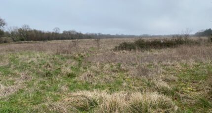 Pont-l'Abbé-d'Arnoult Terrain à bâtir - 2481115-11194annonce120260410cFL38.jpeg Maisons Open