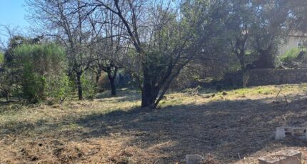 La Gaude Terrain à bâtir - 2481330-10316annonce12026041056qmS.jpeg Maisons Open