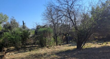 La Gaude Terrain à bâtir - 2481330-10316annonce220260410dluCv.jpeg Maisons Open