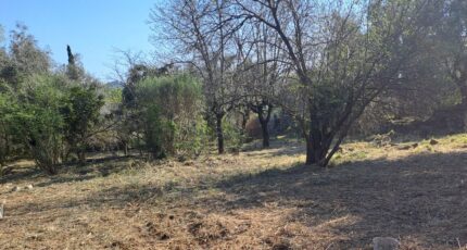 La Gaude Terrain à bâtir - 2481330-10316annonce320260410ceScb.jpeg Maisons Open