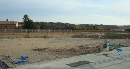 Saint-Jean-Lasseille Terrain à bâtir - 2452940-666annonce120260311u62Ud.jpeg Maisons Open