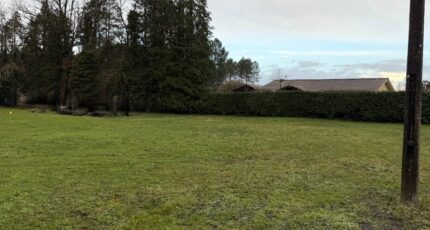 Saint-Symphorien Terrain à bâtir - 2481540-10677annonce120260410733bH.jpeg Maisons Open