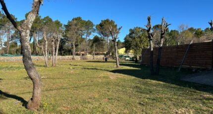 Régusse Terrain à bâtir - 2481983-3951annonce1202604108upZ2.jpeg Maisons Open