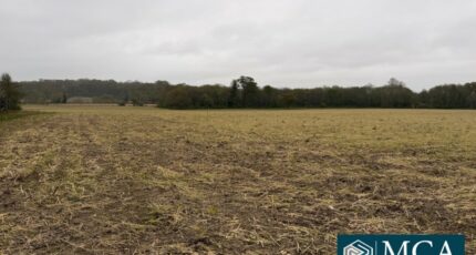 Mimbaste Terrain à bâtir - 2482061-5828annonce120260410BpPaI.jpeg Maisons Open