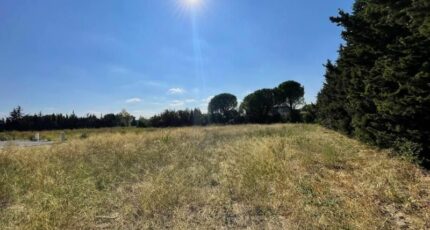 Lézignan-Corbières Terrain à bâtir - 2482262-10986annonce120260411voZvq.jpeg Maisons Open