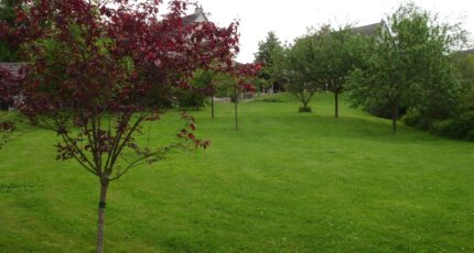 Chenoise Terrain à bâtir - 2388867-4353annonce120260112WbJ1A.jpeg Maisons Open