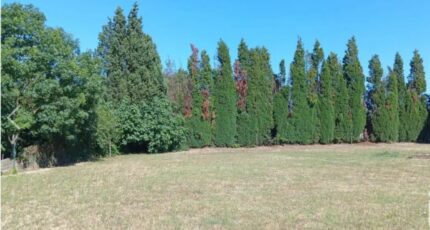 Labastide-d'Anjou Terrain à bâtir - 2482402-10986annonce120260411SRSD5.jpeg Maisons Open