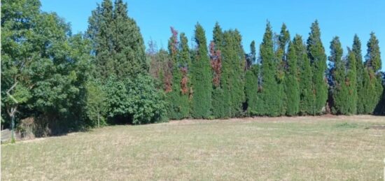 Terrain à bâtir à Labastide-d'Anjou, Occitanie