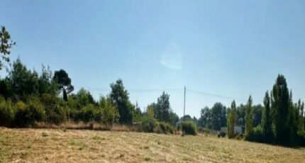 Labécède-Lauragais Terrain à bâtir - 2482413-10986annonce120260411y0eJK.jpeg Maisons Open