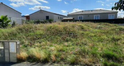 Palaja Terrain à bâtir - 2482460-10986annonce120260411LwRX8.jpeg Maisons Open