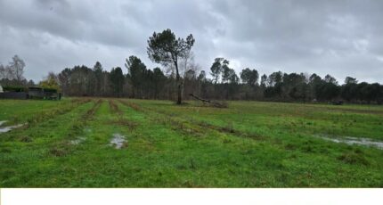 Saint-Savin Terrain à bâtir - 2482570-11516annonce120260412rypCR.jpeg Maisons Open