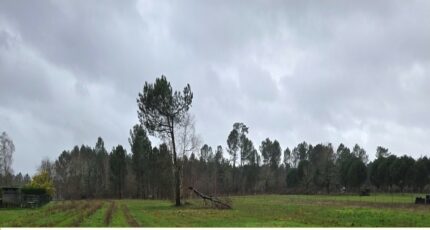 Saint-Savin Terrain à bâtir - 2482573-11516annonce120260412Dv0uu.jpeg Maisons Open