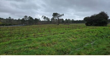 Saint-Savin Terrain à bâtir - 2482571-11516annonce1202604123oXTf.jpeg Maisons Open