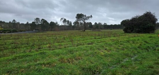 Terrain à bâtir à Saint-Savin, Nouvelle-Aquitaine