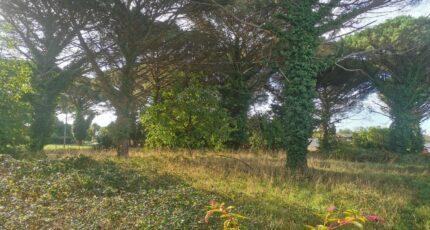 Langon Terrain à bâtir - 2483210-9573annonce120260413wrCWX.jpeg Maisons Open