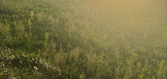 Terrain à bâtir à Istres, Provence-Alpes-Côte d'Azur