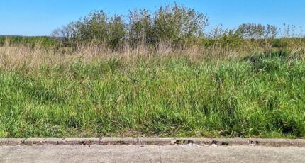 Saint-Lys Terrain à bâtir - 2480993-9555annonce120260410dhx2i.jpeg Maisons Open