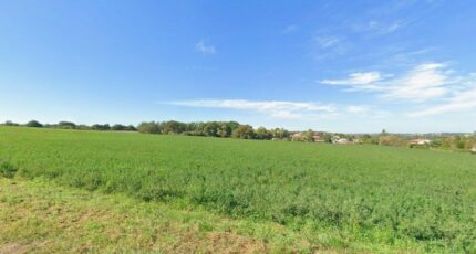 Auzielle Terrain à bâtir - 2480904-5771annonce120260410u2HT0.jpeg Maisons Open