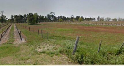 Saint-Savin Terrain à bâtir - 2483305-11516annonce120260413S5cVE.jpeg Maisons Open