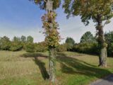  2483494-1046annonce120250709fayTB.jpeg Maisons Open