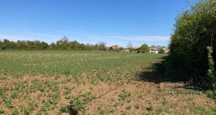 Champagnolles Terrain à bâtir - 2483499-1046annonce120250709tz035.jpeg Maisons Open