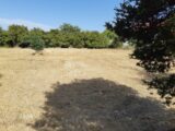 2483508-1046annonce1202507091ECXy.jpeg Maisons Open