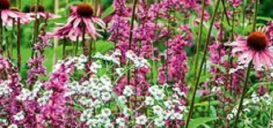 Terrain à bâtir à Chinon, Centre-Val de Loire