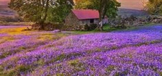 Terrain à bâtir à Beaumont-la-Ronce, Centre-Val de Loire