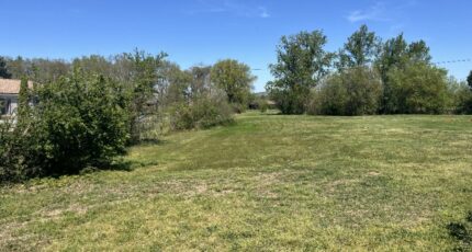 Lavaur Terrain à bâtir - 2481471-11846annonce320260410dJNBT.jpeg Maisons Open