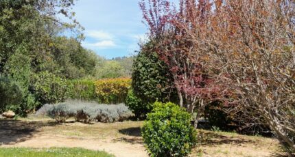 Garéoult Terrain à bâtir - 2483878-10744annonce420260413AC9xZ.jpeg Maisons Open