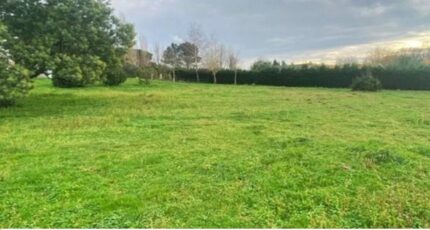 Cartelègue Terrain à bâtir - 2483995-11516annonce120260413KFTV2.jpeg Maisons Open