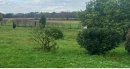 Cartelègue Terrain à bâtir - 2483989-11516annonce120260413PzMCZ.jpeg Maisons Open