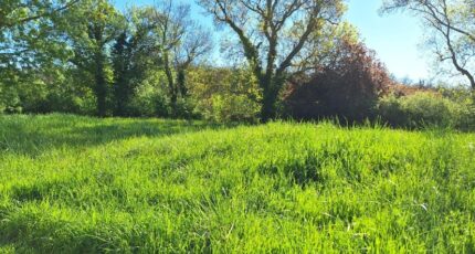 Fontenilles Terrain à bâtir - 2481027-9555annonce120260410pnONu.jpeg Maisons Open