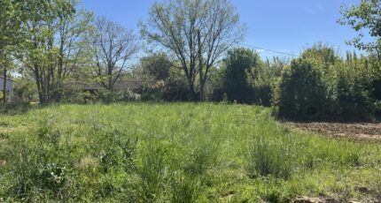 Mézens Terrain à bâtir - 2481993-11846annonce120260410RyTWv.jpeg Maisons Open