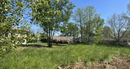 Mézens Terrain à bâtir - 2481993-11846annonce220260410ToTrh.jpeg Maisons Open