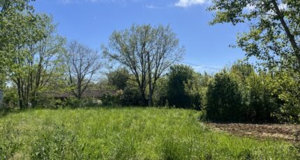 Mézens Terrain à bâtir - 2481993-11846annonce320260410eaTL0.jpeg Maisons Open