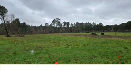 Saint-Savin Terrain à bâtir - 2482572-11516annonce1202604121E6WH.jpeg Maisons Open