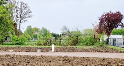 Bailleul Terrain à bâtir - 2387008-11632annonce220260109ZXwpV.jpeg Maisons Open