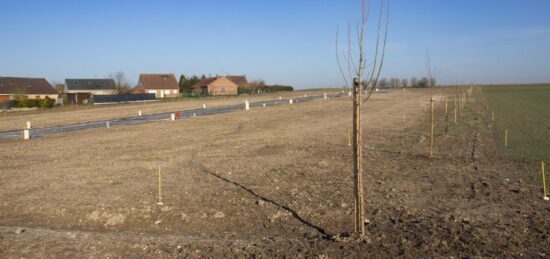 Terrain à bâtir à , Nord